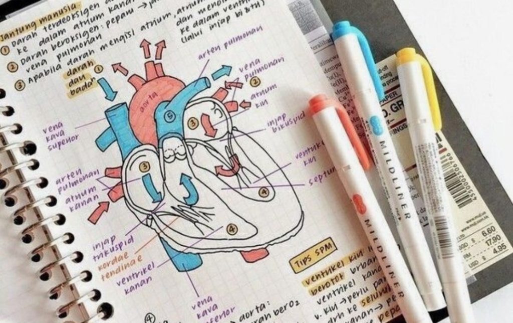 بهترین منابع کنکور تجربی 1404